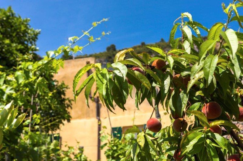 Agriturismo La Selva Hotel Finale Ligure Buitenkant foto