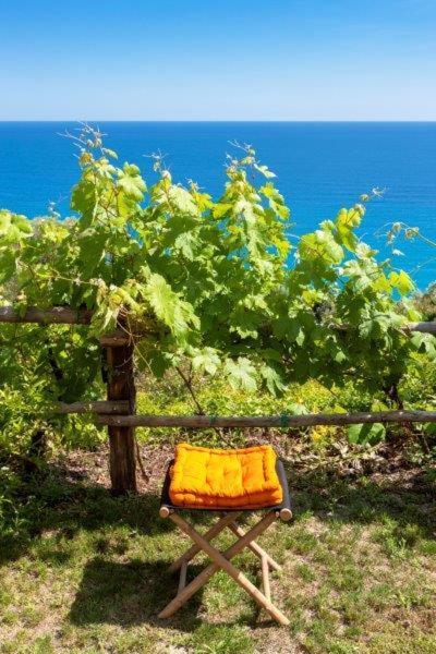 Agriturismo La Selva Hotel Finale Ligure Buitenkant foto