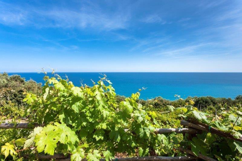 Agriturismo La Selva Hotel Finale Ligure Buitenkant foto