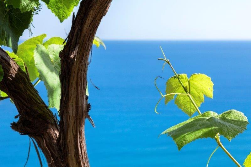 Agriturismo La Selva Hotel Finale Ligure Buitenkant foto