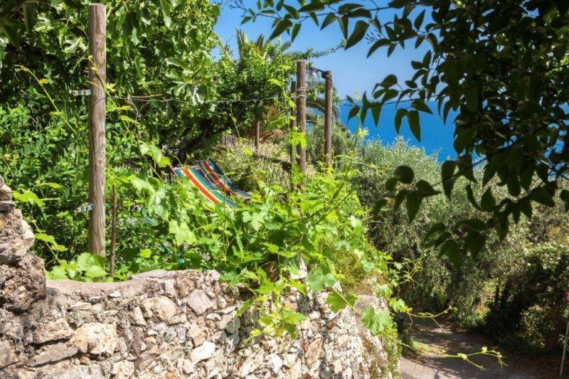 Agriturismo La Selva Hotel Finale Ligure Buitenkant foto