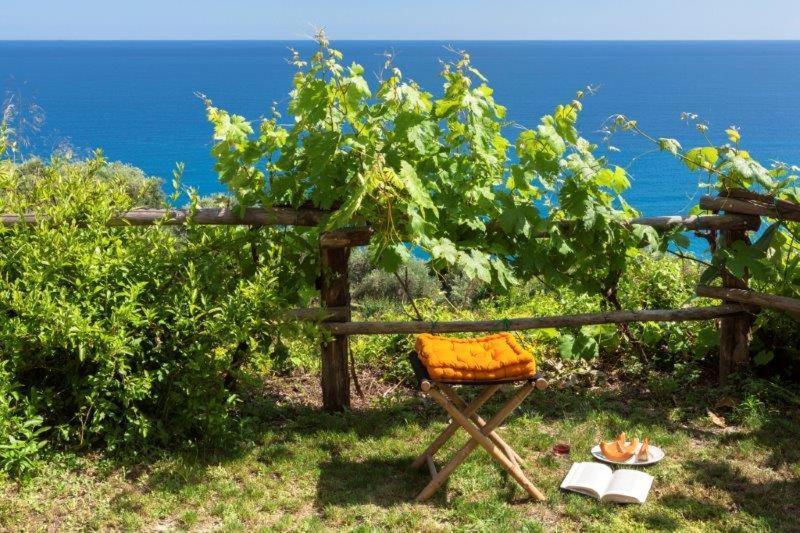 Agriturismo La Selva Hotel Finale Ligure Buitenkant foto