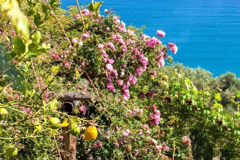 Agriturismo La Selva Hotel Finale Ligure Buitenkant foto