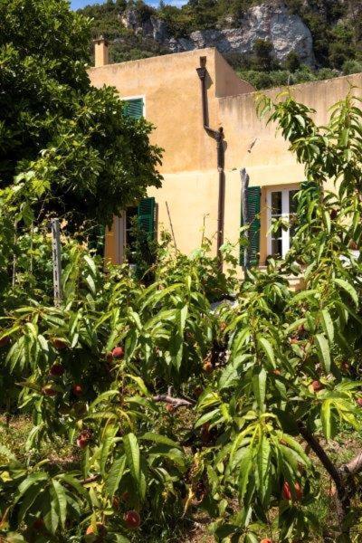 Agriturismo La Selva Hotel Finale Ligure Buitenkant foto