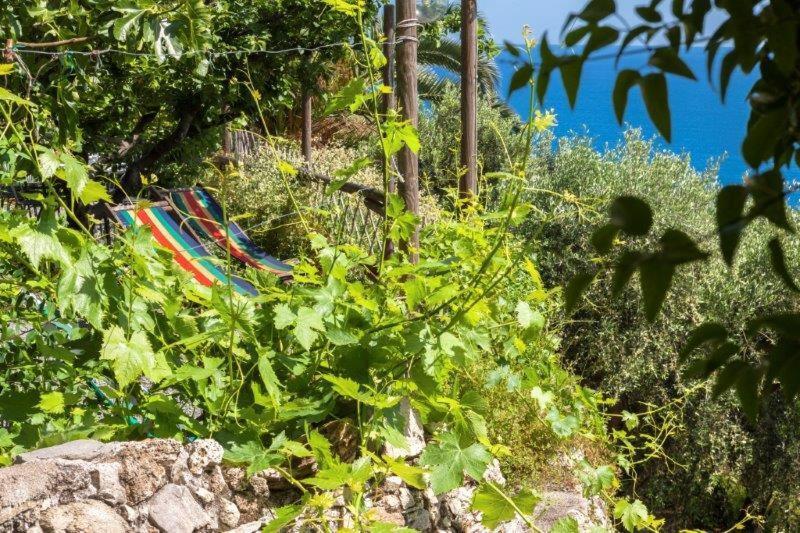 Agriturismo La Selva Hotel Finale Ligure Buitenkant foto