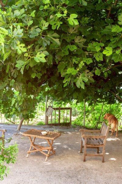 Agriturismo La Selva Hotel Finale Ligure Buitenkant foto